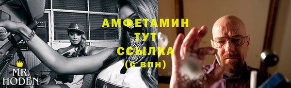 индика Вязники