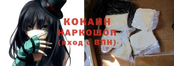 индика Вязники