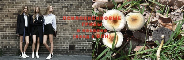 кристаллы Вяземский