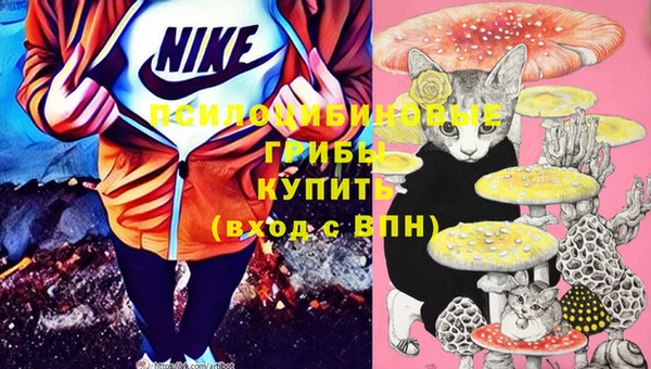 индика Вязники