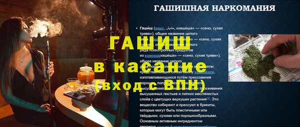 индика Вязники