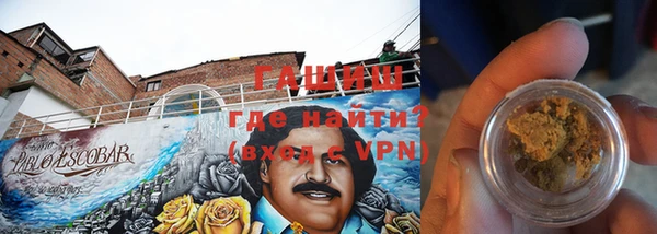 индика Вязники