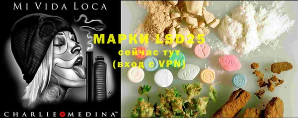 индика Вязники