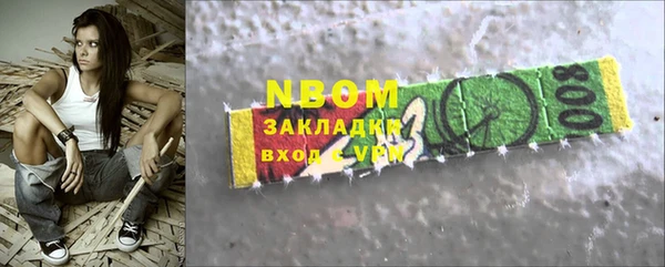 индика Вязники