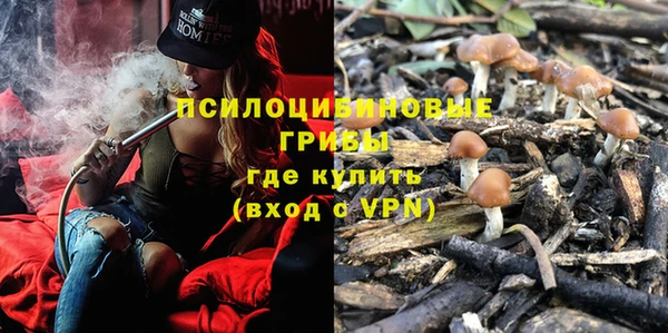 индика Вязники