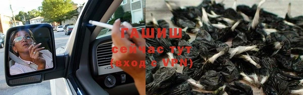 индика Вязники