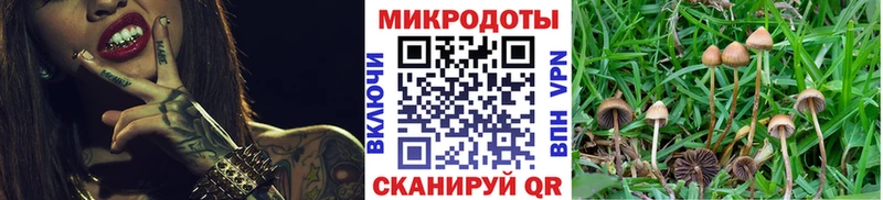 Псилоцибиновые грибы мухоморы Лысьва